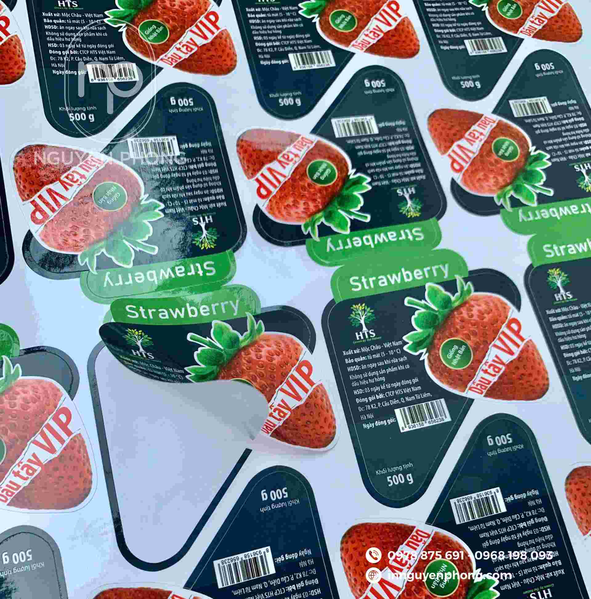 Bế demi trên mẫu tem nhãn dán thực phẩm